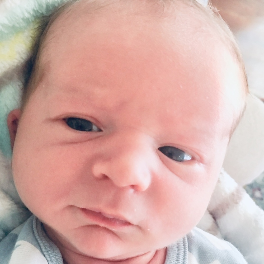 Meet your Posher, Will